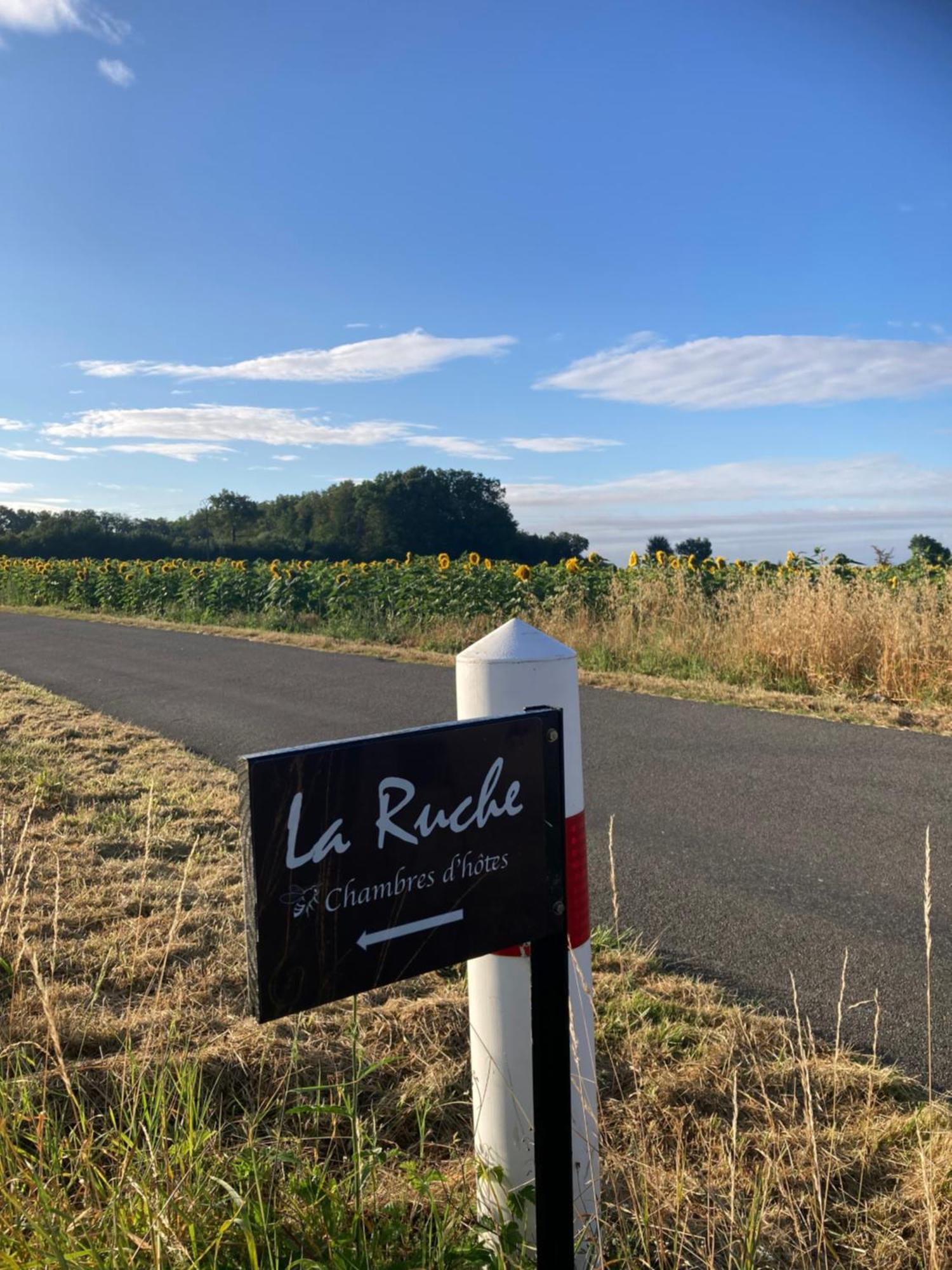 La Ruche Bed & Breakfast Paizay-Naudouin-Embourie Luaran gambar